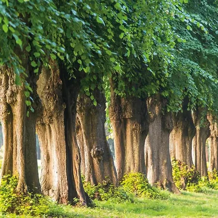 Сasa de vacaciones Tolles In Fuer 8 Personen *