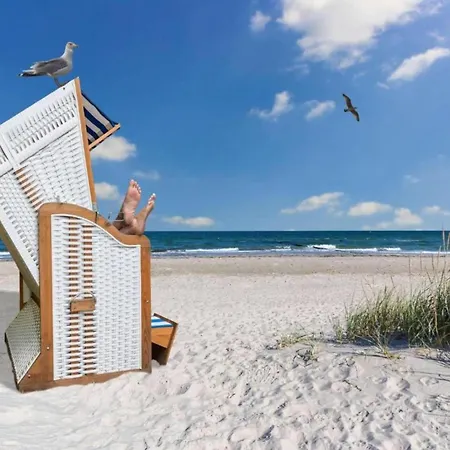 Tolles In Fuer 8 Personen Wißmar